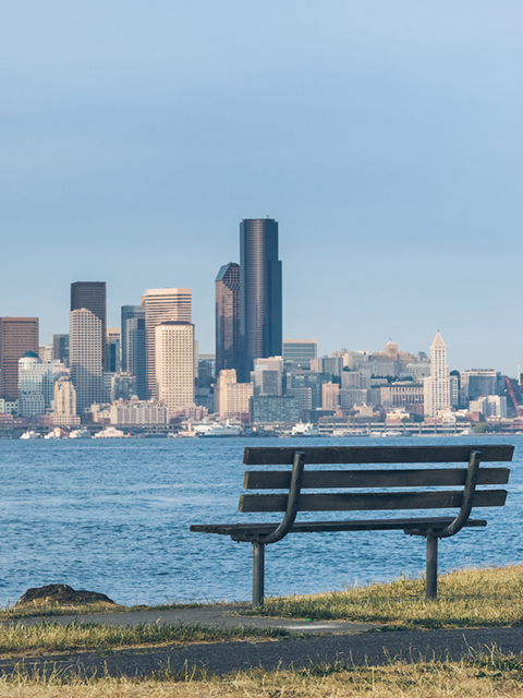 Photo of a Bench in the Park